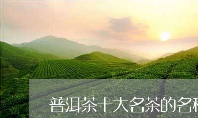 普洱茶十大名茶的名称/2023061572957