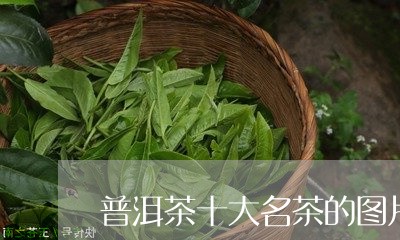 普洱茶十大名茶的图片/2023061503825