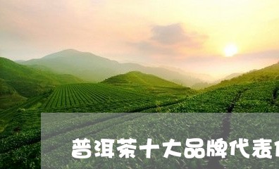 普洱茶十大品牌代表作品/2023050590695