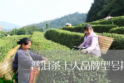 普洱茶十大品牌型号排名/2023121614161