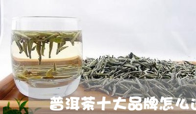 普洱茶十大品牌怎么选/2023092869681