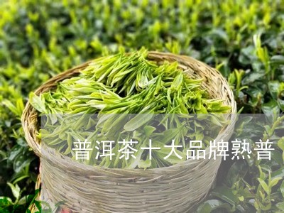 普洱茶十大品牌熟普/2023082949692