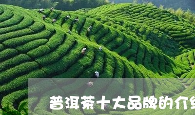 普洱茶十大品牌的介绍/2023061561617