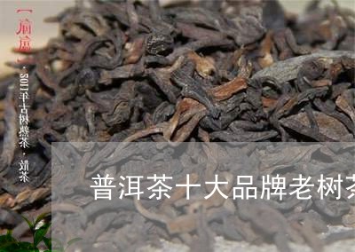 普洱茶十大品牌老树茶/2023073085927