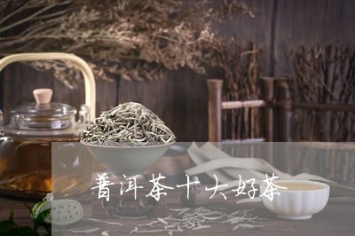 普洱茶十大好茶/2023081673737