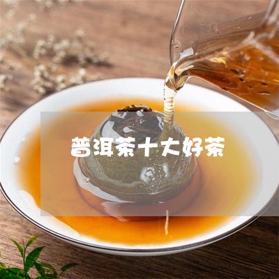 普洱茶十大好茶/2023101677260