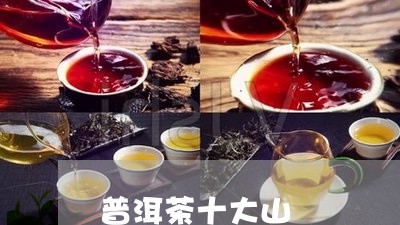 普洱茶十大山/2023042958596