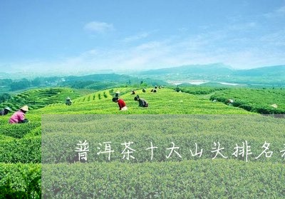 普洱茶十大山头排名表格/2023103129472