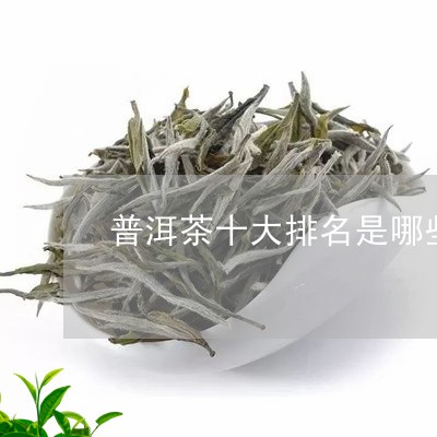 普洱茶十大排名是哪些/2023092605369