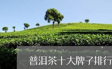 普洱茶十大牌子排行榜图片/2023112526269