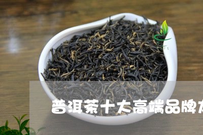 普洱茶十大高端品牌龙园号/2023082950715