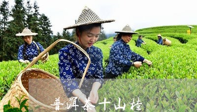 普洱茶十山楂/2023042715300