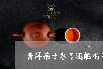 普洱茶十年了还能喝不/2023092737373