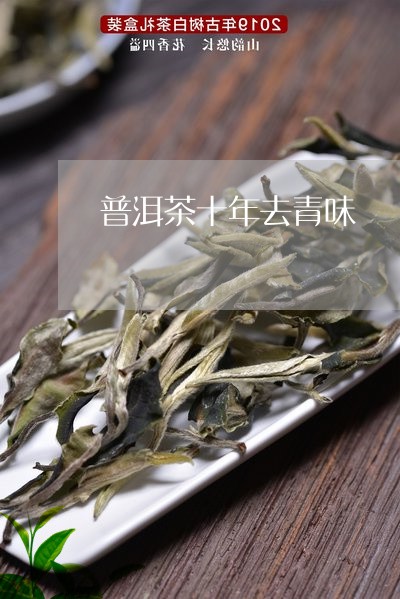 普洱茶十年去青味/2023121649593