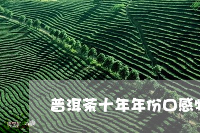 普洱茶十年年份口感特点/2023050591716