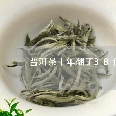 普洱茶十年翻了38倍/2023092719693