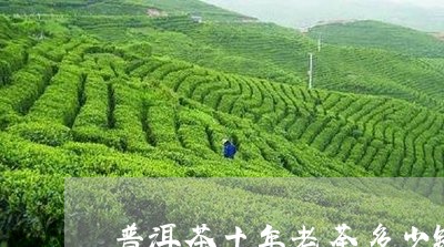 普洱茶十年老荼多少钱一斤/2023051369180