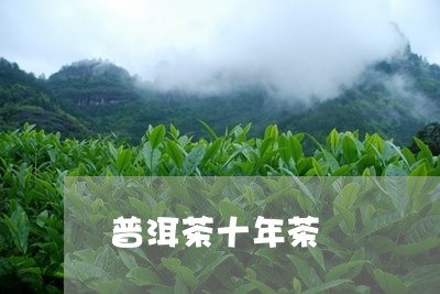 普洱茶十年茶/2023042782855