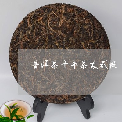 普洱茶十年茶友感慨/2023120493717