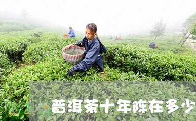 普洱茶十年陈在多少钱/2023092609627