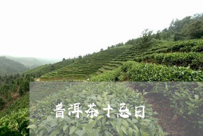 普洱茶十忌日/2023042806570