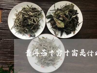 普洱茶十穷十富是什么茶/2023103103715