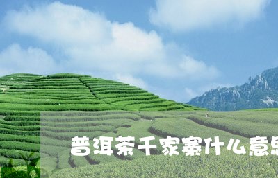 普洱茶千家寨什么意思/2023092648581