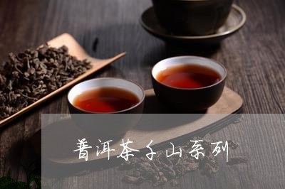 普洱茶千山系列/2023102613837