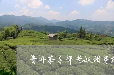 普洱茶千年老妖甜芽孢/2023072105260