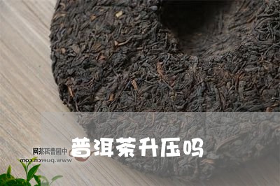 普洱茶升压吗/2023042889075