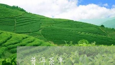 普洱茶单/2023090121926