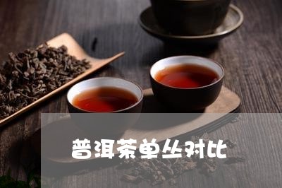 普洱茶单丛对比/2023081816361