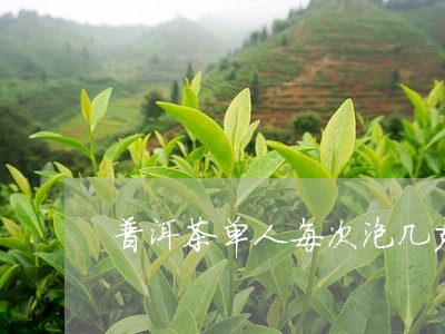 普洱茶单人每次泡几克合适/2023121673914