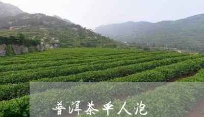 普洱茶单人泡/2023042714024