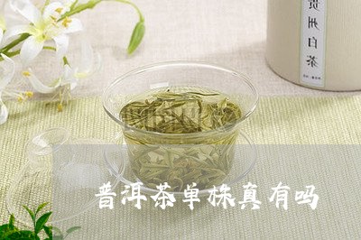 普洱茶单株真有吗/2023120431723