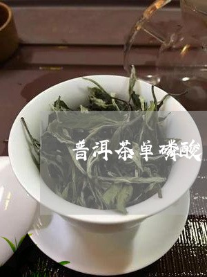 普洱茶单磷酸/2023042757791