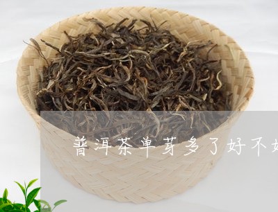 普洱茶单芽多了好不好呢/2023121638382