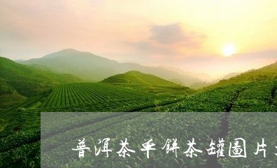 普洱茶单饼茶罐图片大全/2023082437178