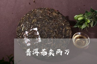 普洱茶卖两万/2023101656847