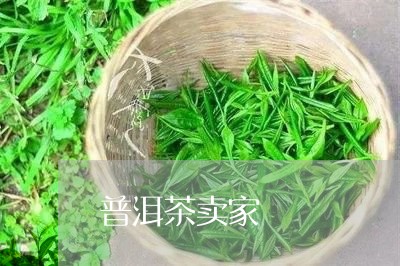 普洱茶卖家/2023090693815