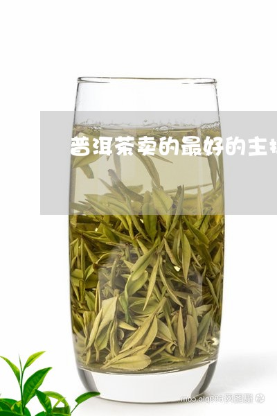 普洱茶卖的最好的主播/2023120611482