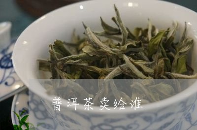 普洱茶卖给谁/2023042729242