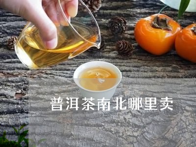 普洱茶南北哪里卖/2023080285157