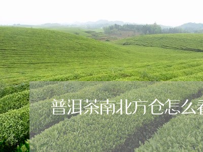 普洱茶南北方仓怎么看/2023072155262