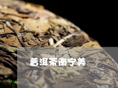 普洱茶南宁美/2023042601729