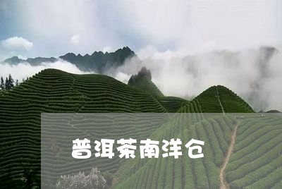 普洱茶南洋仓/2023042687842