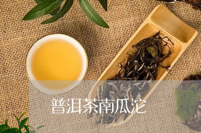 普洱茶南瓜沱/2023042925768