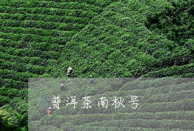 普洱茶南秋号/2023042543055