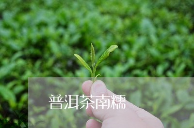 普洱茶南糯/2023090649527