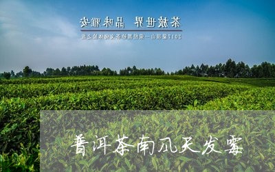 普洱茶南风天发霉/2023120464138